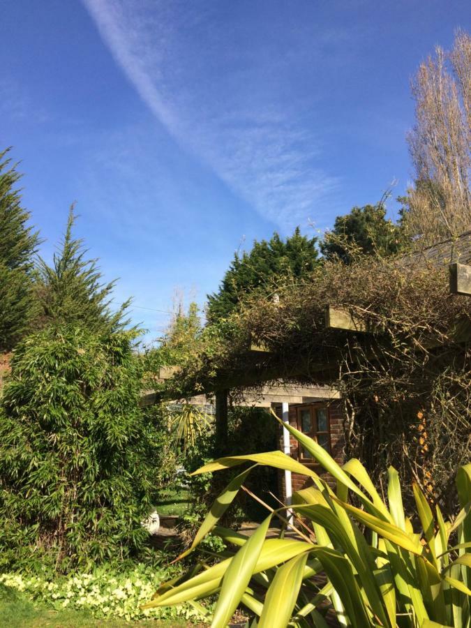 Ralph'S Barn Villa Newport  Bagian luar foto